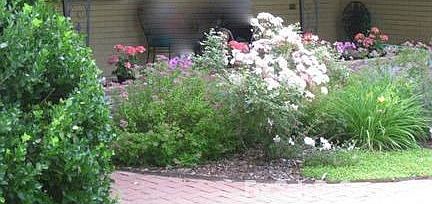 Front Walkway to Home