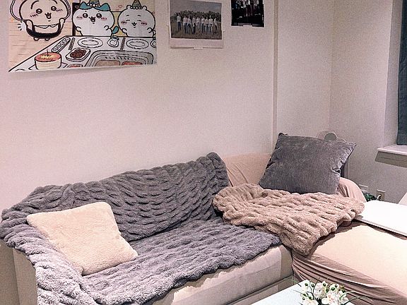 5th image of 74 Grand Ave APT 3D
