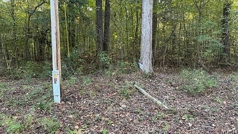 2nd image of 0 Southern Sportsman Loop