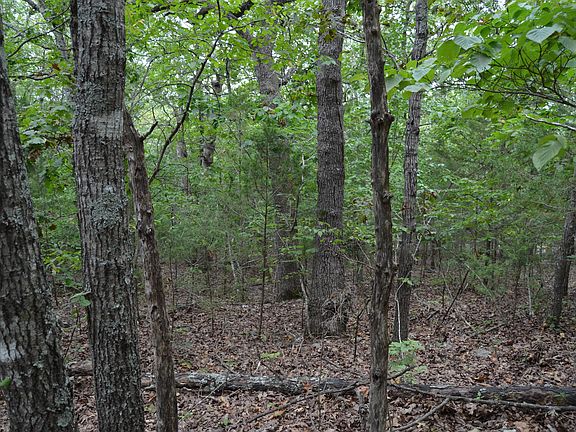 4th image of 91 Shady Cove Ln