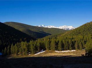 114 Bergen Trl, Silverthorne, CO 80424