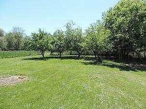 The back yard.