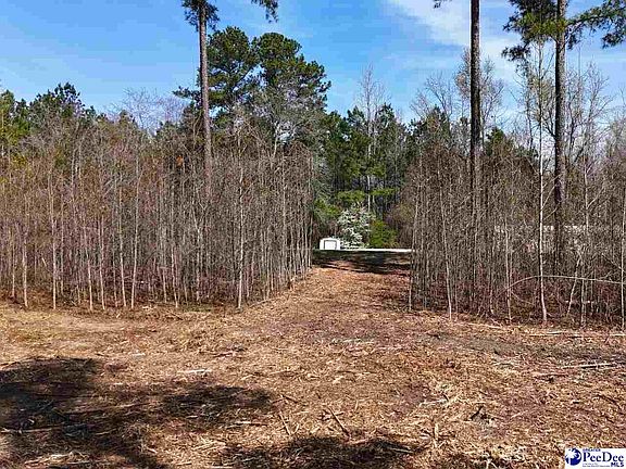 5th image of Tracts 1 & 2 Snow Hill Rd