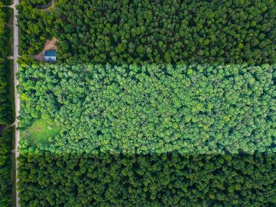 N12986 Berry Woods Trl, Athelstane, WI, 54104