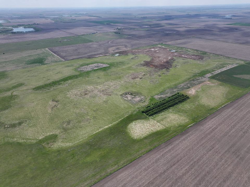 Dji 20260521111903 0495 D Talltines