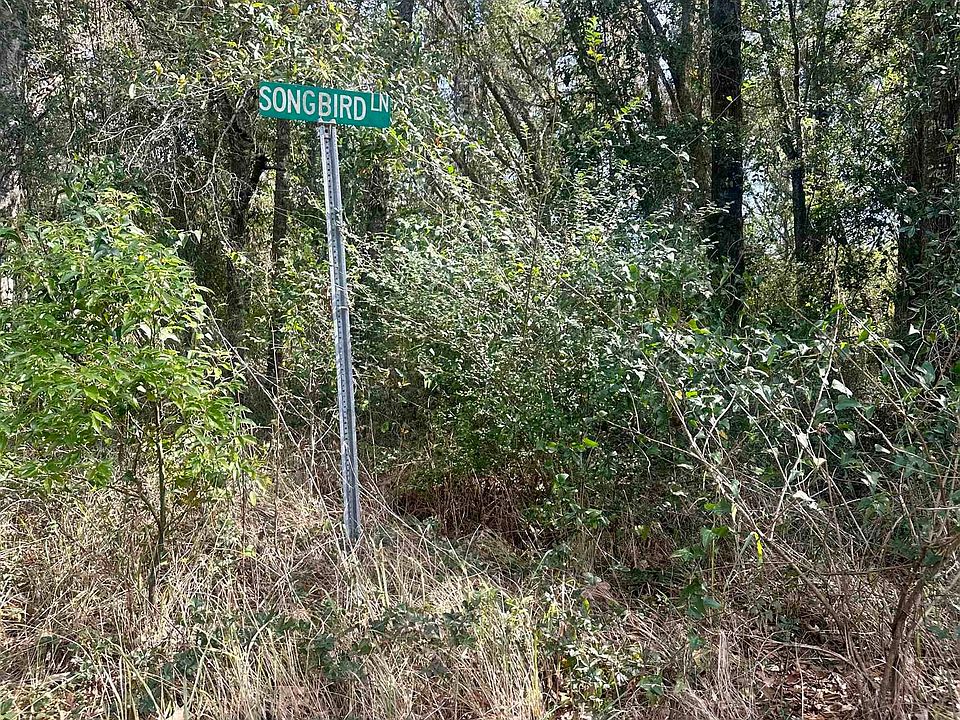2nd image of 0 Songbird Ln