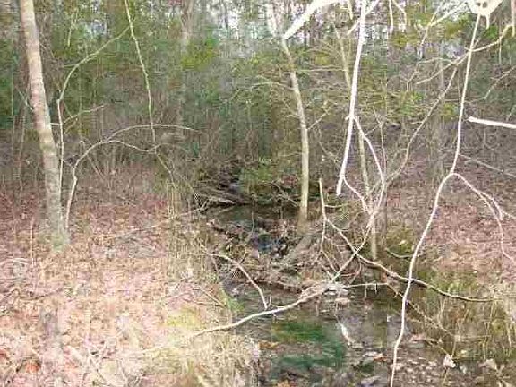 5th image of TBD Pine Grove Road