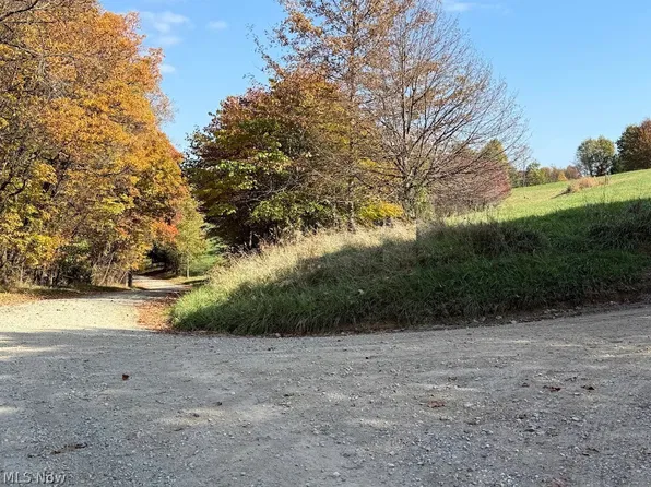 6ACRE Buxton Rd, Scio, OH 43988