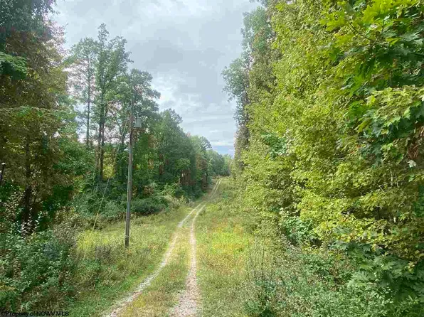 Helens Run Rd, Worthington, WV 26591