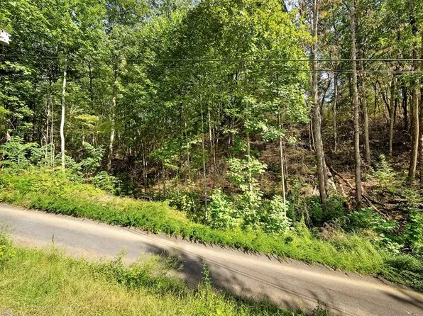 1272 Raymond Hollow Rd #1272, Sevierville, TN 37876