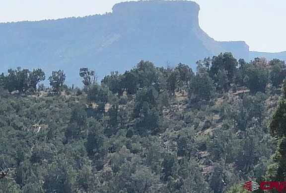 5th image of 10193 Road 35