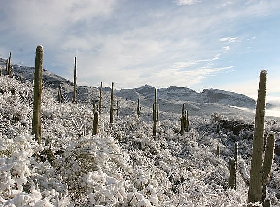 It does snow in Tucson, well, once in a while.