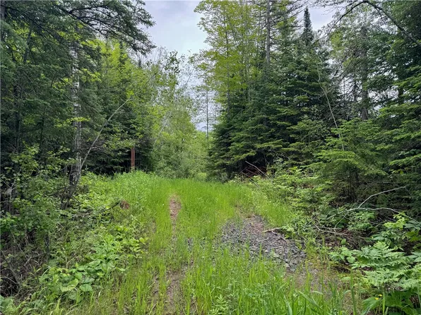 5.56 acres on Evergreen Road, Port Wing, WI 54865