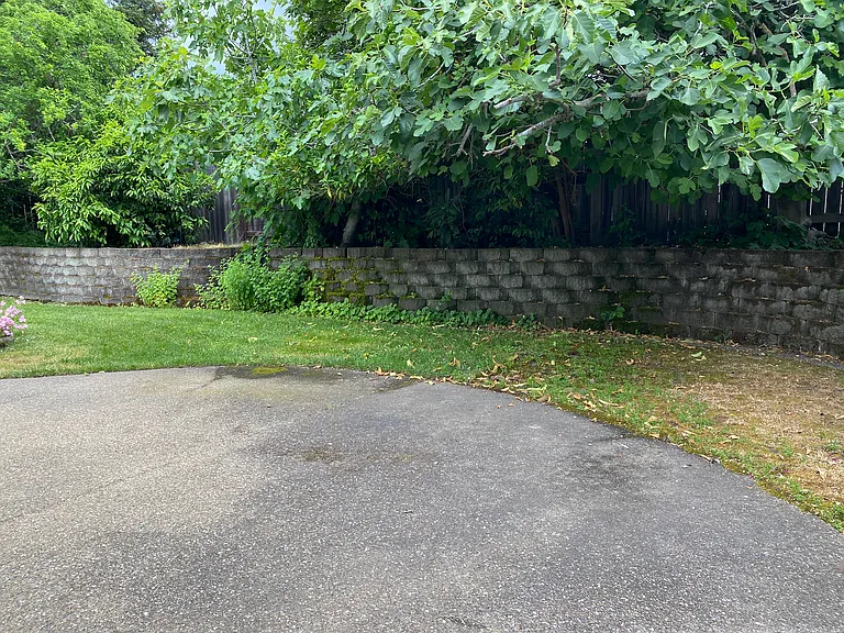1509 Lathwell Way — Photo 19