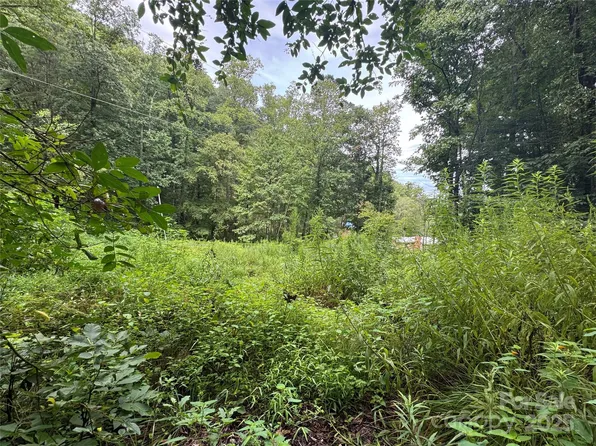 302 Wilson Cove Rd, Swannanoa, NC 28778