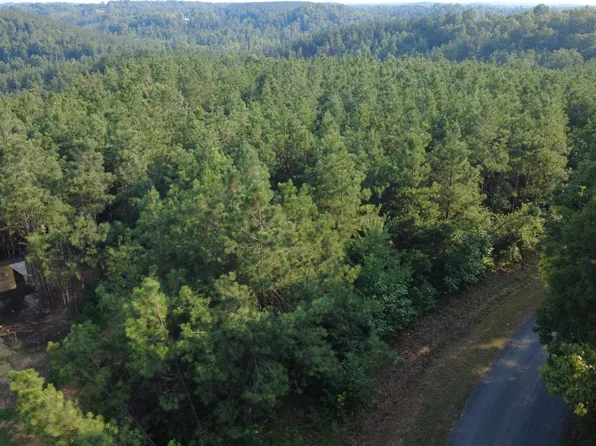 1 Rockhouse Rd, Linden, TN 37096