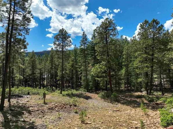 303 Blue Spruce Drive, Bayfield, CO 81122