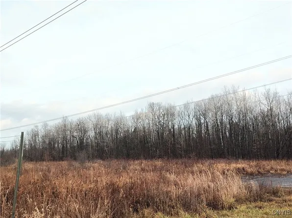 Stephens Rd #44, Canastota, NY 13032