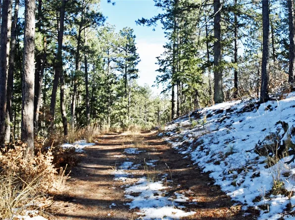 12778 Greenland Acres Road LOT 13A, Larkspur, CO 80118