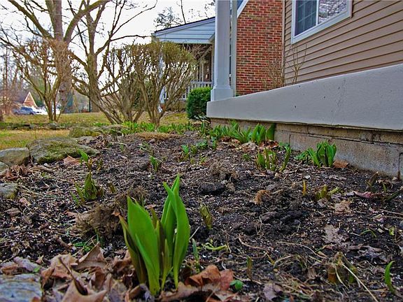 2nd image of 6240 N Norwaldo Ave