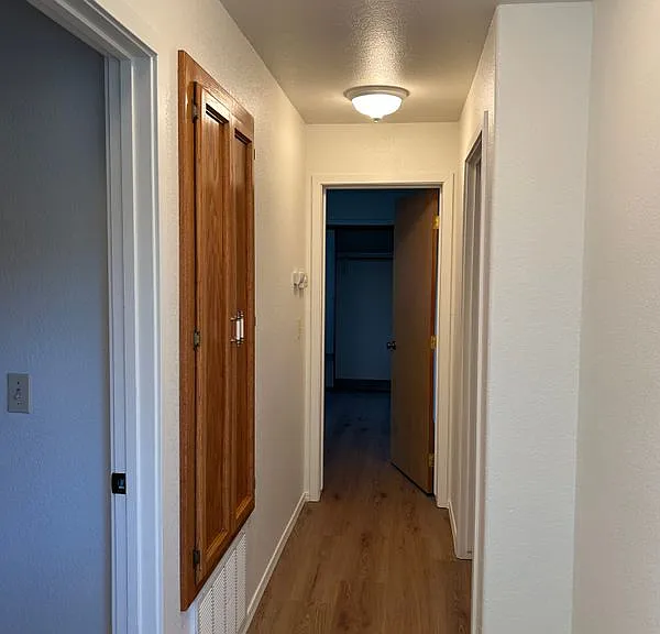 417 Brizzolara St — Photo 10