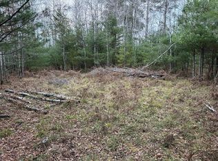 N Spite Ave, Grayling, MI 49738