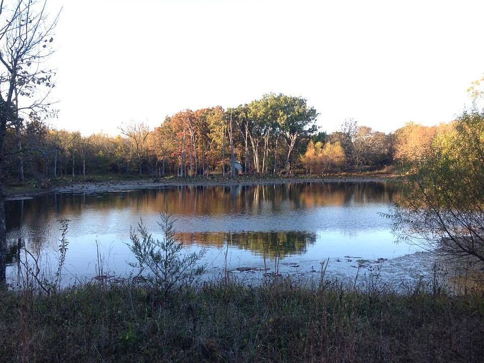 2-3 Acre Pond stocked