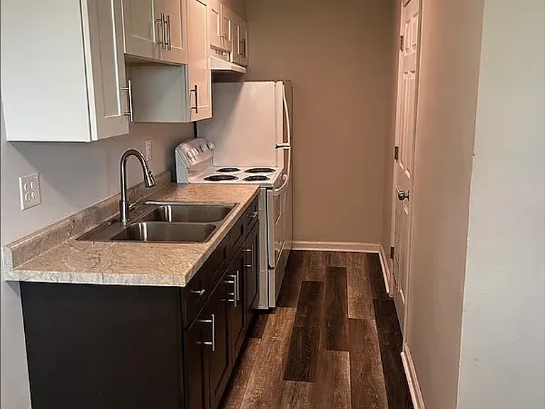 Elmwood388 (TF) - 2 — Photo 3