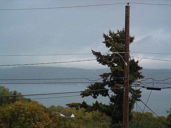 view