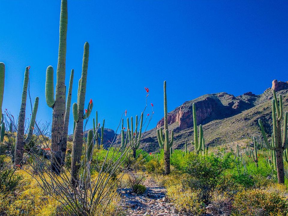 Sonoran Preserve on the Bajada only 3 left (Moore Rd) by Fairfield ...