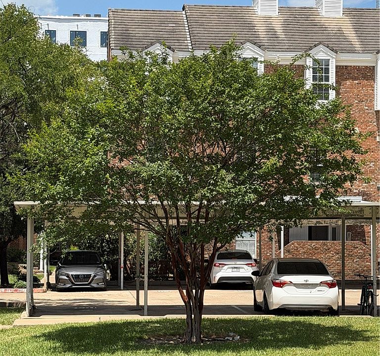 1st image of 400 Nagle St APT 302