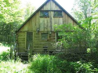 59 Thunder Hill Rd, Rensselaerville, NY 12147