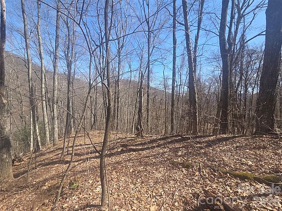 2nd image of 820 Chestnut Flats Rd #4