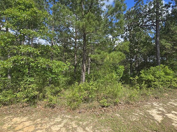 2nd image of Mellie Ln Lot 5