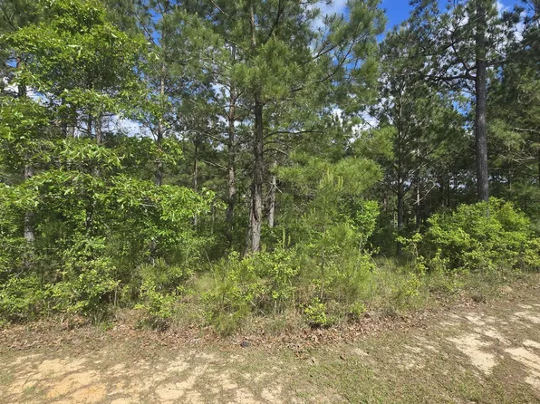 Mellie Ln Lot 5, Leakesville, MS 39451