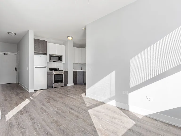 1625 W Howard St — Photo 38