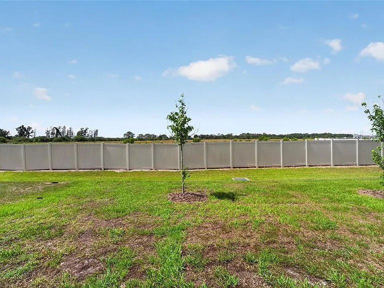 472 Mangrove Shade Cir — Photo 69