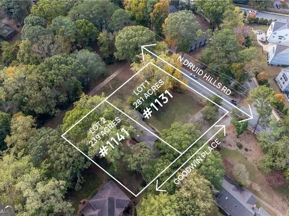 1141 Goodwin Pl NE, Atlanta, GA 30319