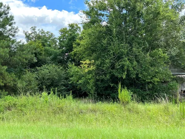 0 Hayden St, Columbia, AL 36319