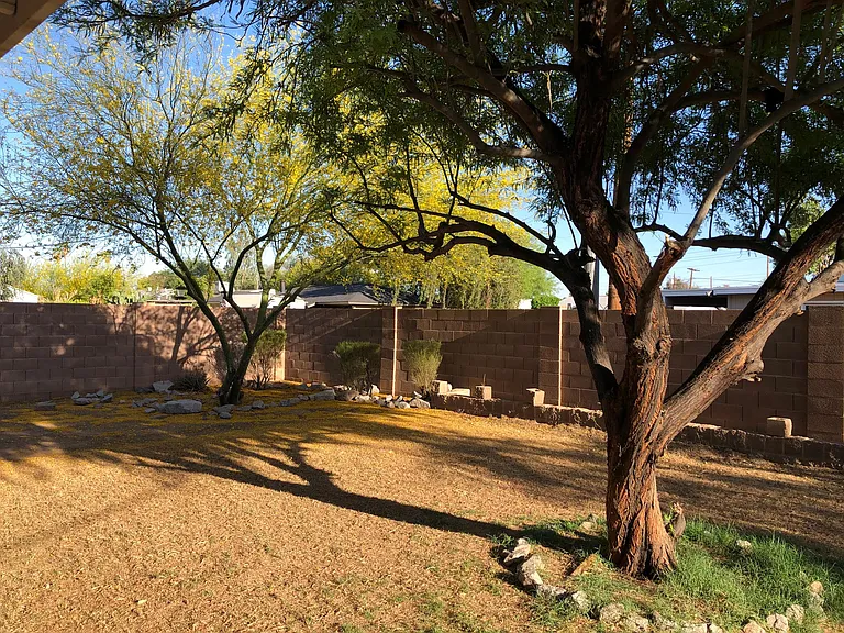 2201 W Catalina Dr — Photo 13