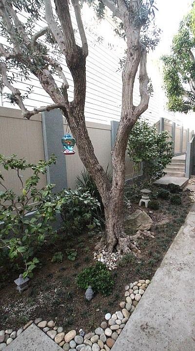 1st image of 720 S Elvira Ave #210