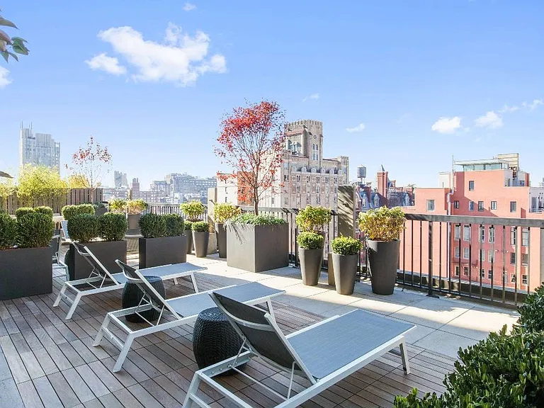Garden terrace with lounge chairs