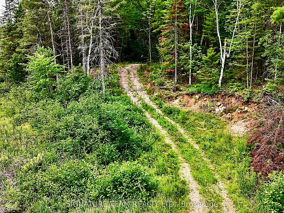 2nd image of 1011 McGrath Rd
