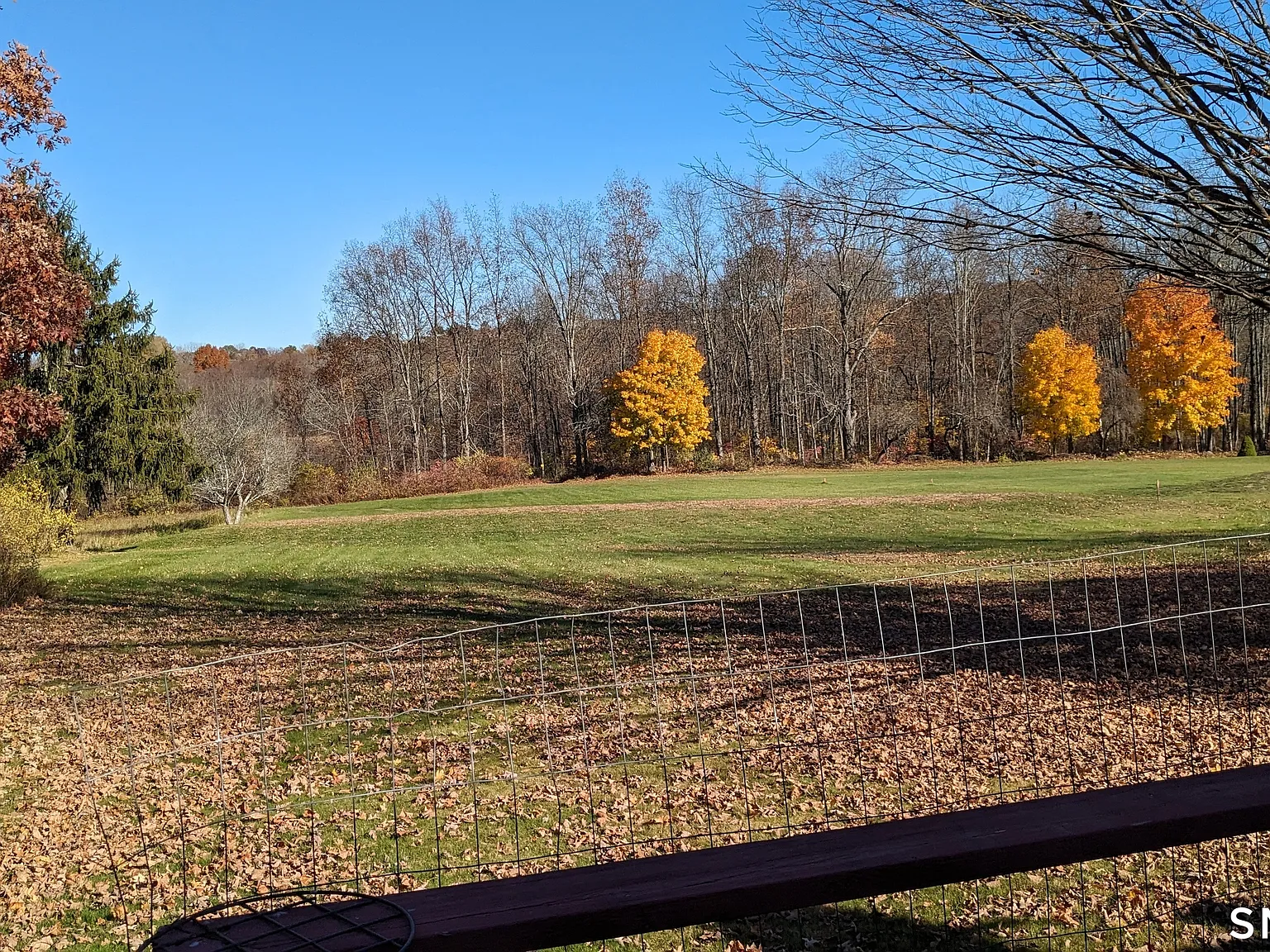 2 bed, 1.0 bath, 1290 sqft, $3,000 — Photo 2
