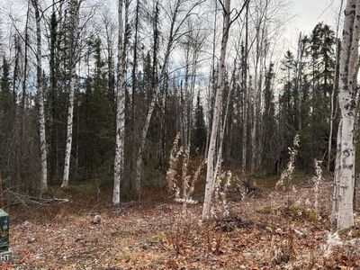 673 N Wilhelm St, Wasilla, AK, 99623