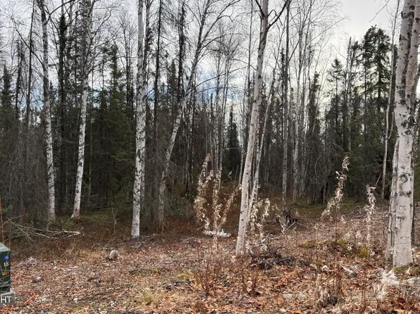 673 N Wilhelm St, Wasilla, AK 99623