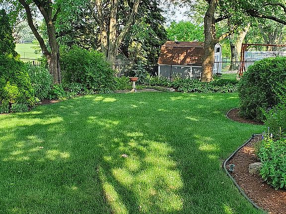 Real back yard image