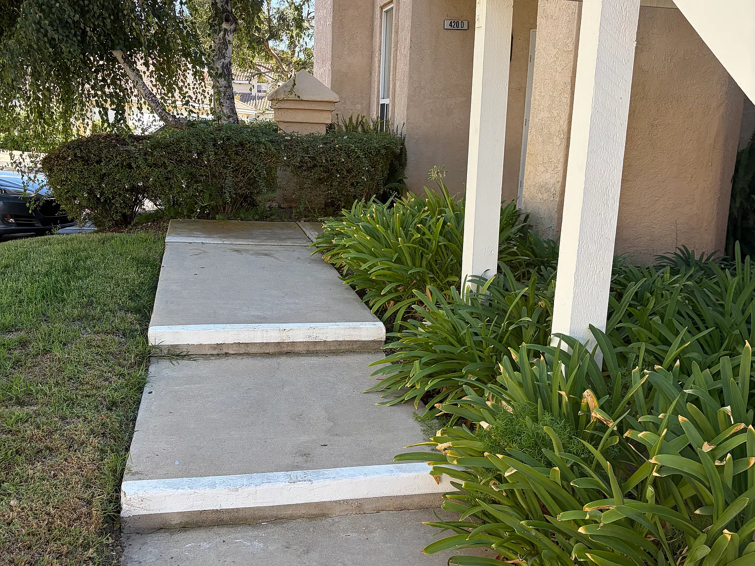 2 bed, 1280 sqft, $3,450 — Photo 4