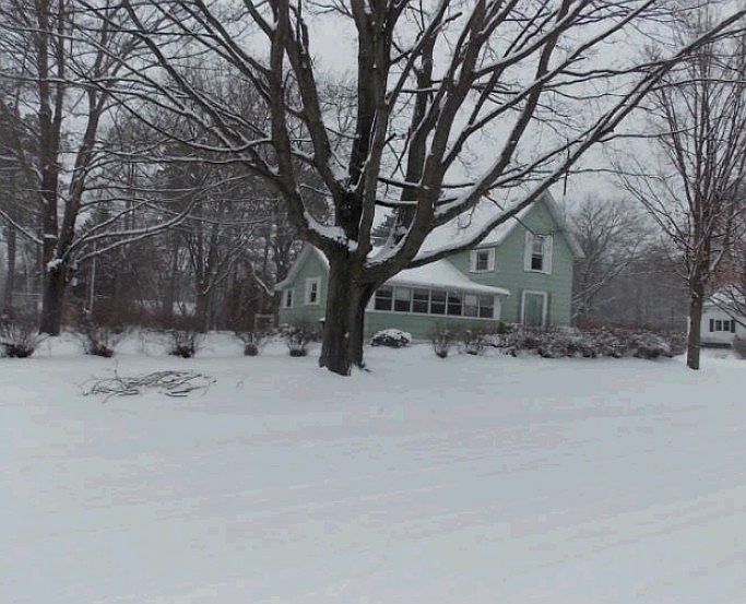 2nd image of 313 Louise Ave
