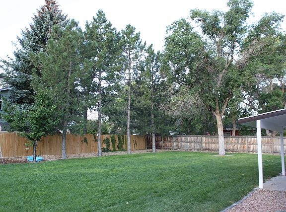backyard with covered patio